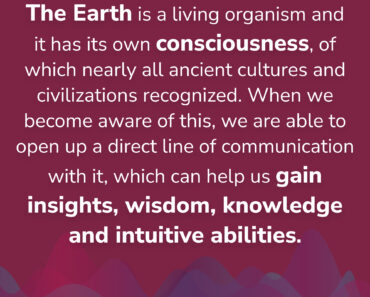 The Earth’s Consciousness