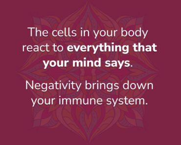 The Cells in Your Body